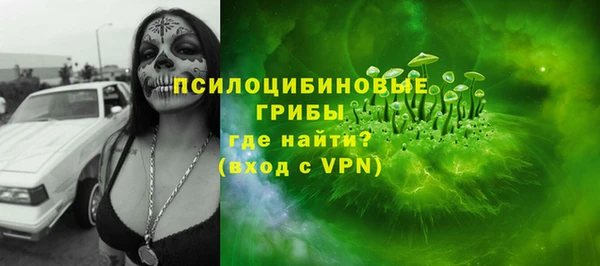 скорость Новозыбков