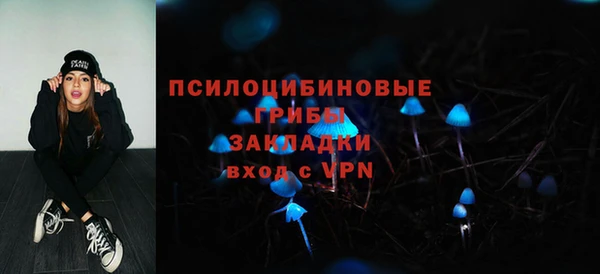 скорость Новозыбков