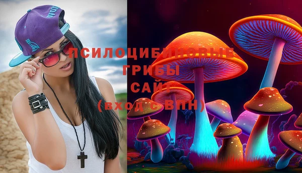 амфетамин Новодвинск