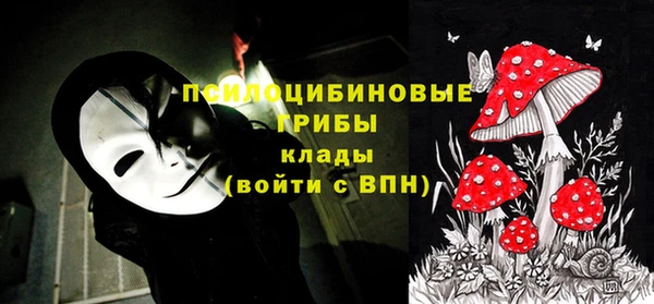 скорость Новозыбков
