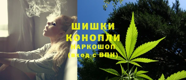 мдпв Новокубанск