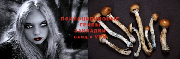 мдпв Новокубанск